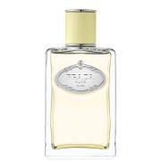 Prada Les Infusions de Gingembre Eau de Parfum 100ml