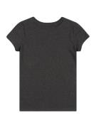 Calvin Klein Jeans Camiseta  gris oscuro / blanco